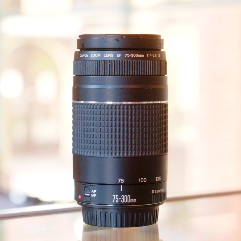 Canon EF 75-300mm f4-5.6 III USM