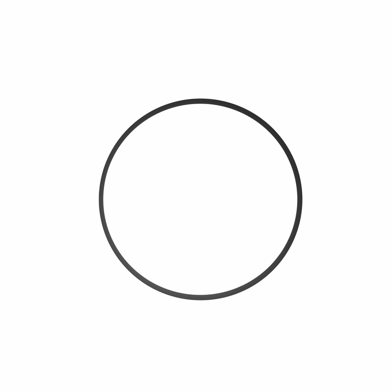 O-Ring 0132.41 for FL Modular Port Extension