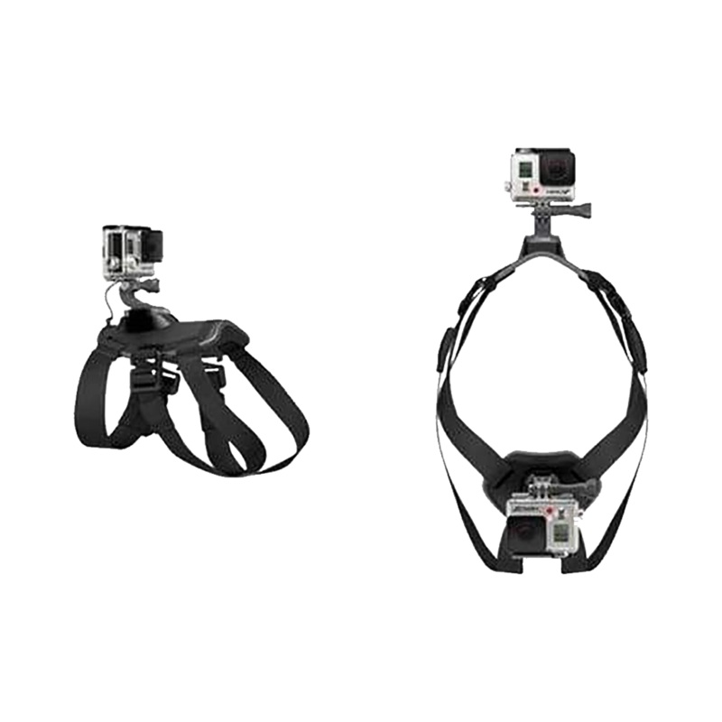 Xtreme Mount V1.0 for Dogs