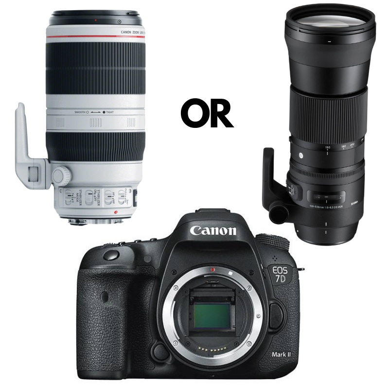 BUSH KIT  Canon 7D MK II + EF 100-400mm f/4.5-5.6L IS II USM OR Sigma 150-600mm f/5-6.3 DG OS HSM Contemporary Rental – From R850 P/Day
