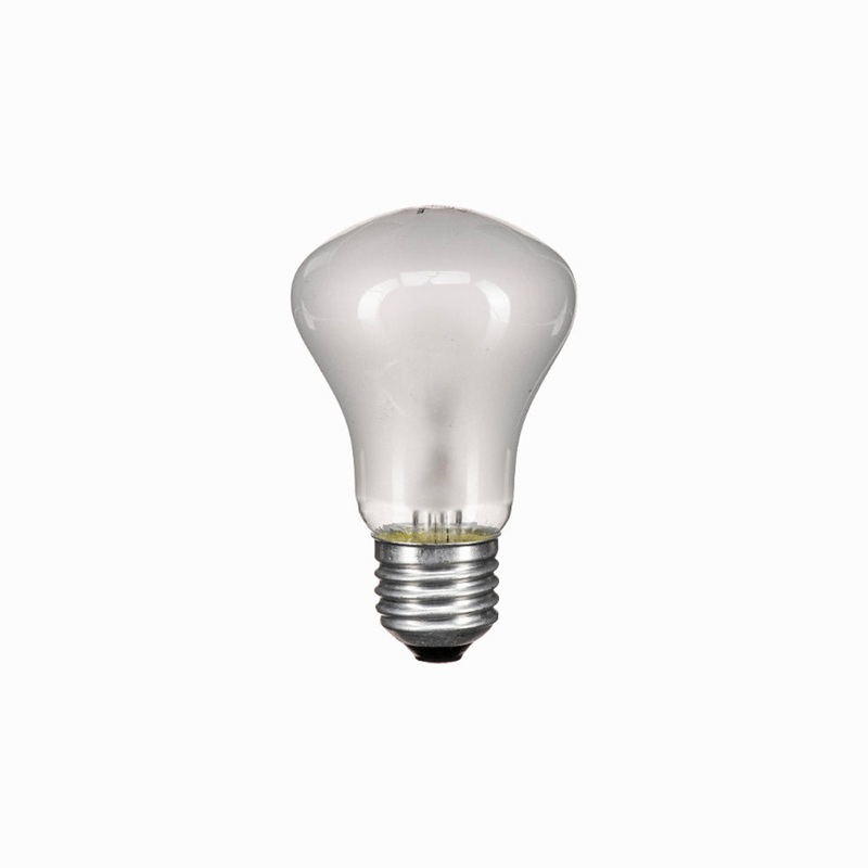 SIMPEX Studio Flash Bulb 100W