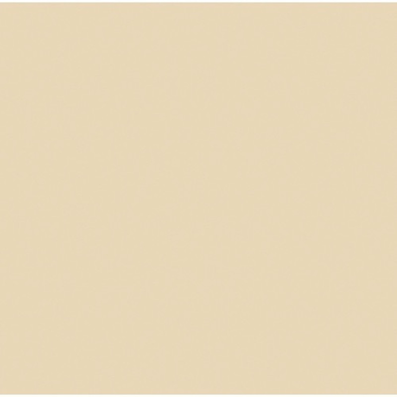 Rosco Cinegel #3409 Filter 20 x 24 Sheet (RoscoSun 1/4 CTO)
