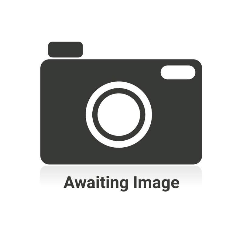 BirdDog X4 Ultra Ceiling Mount White – BDX4CMW