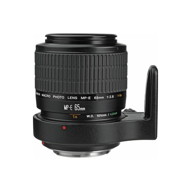 Canon MP-E 65mm f/2.8 1-5x Macro