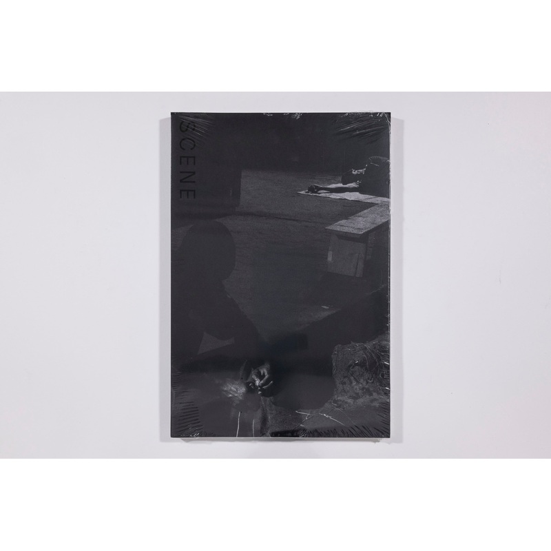 Scene by Alex Majoli
