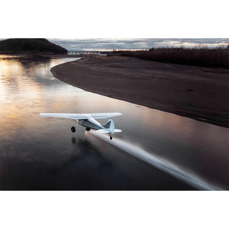 Evan Lewis Gallery Print: Water Strider 8 x 12 Inches (Edition of 7 – Luster Paper)