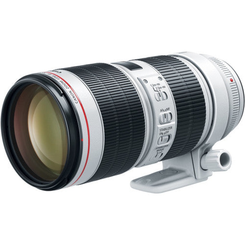 Canon EF 70-200mm f/2.8L IS III USM Lens – 3044C002