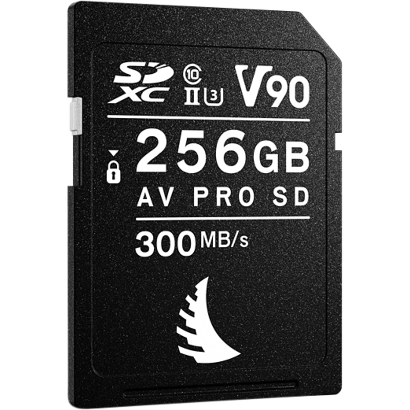 ANGELBIRD AV PRO SD MK2 V90 256GB