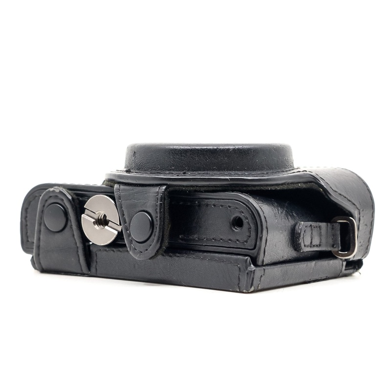 Sony LCS-EBG Leather Body Case