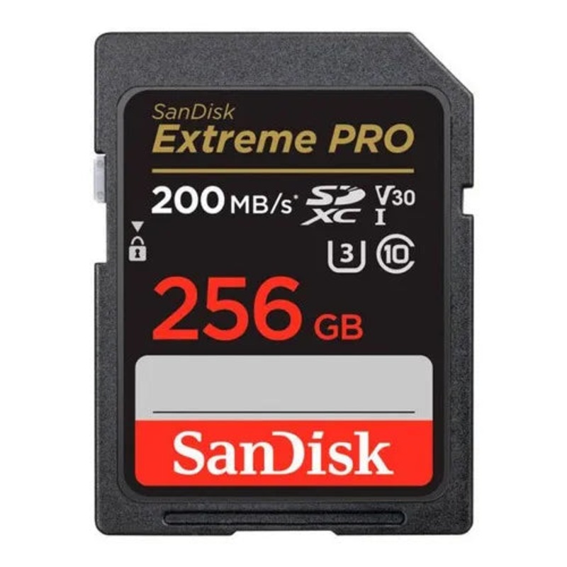 Memoria externa Pro 256 4K Micro