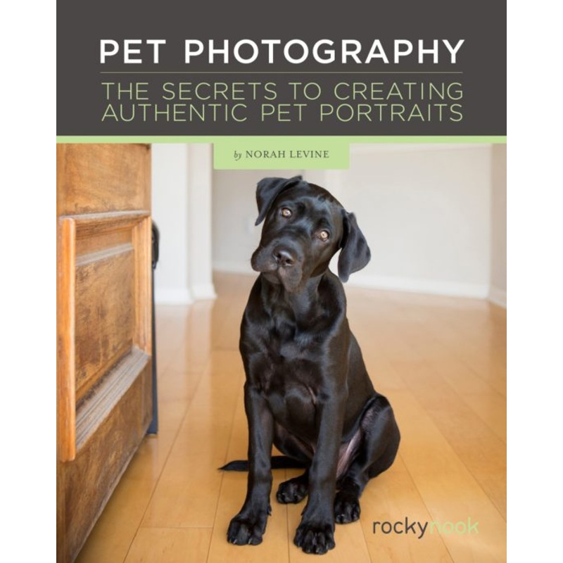 Rocky Nook Pet Photography