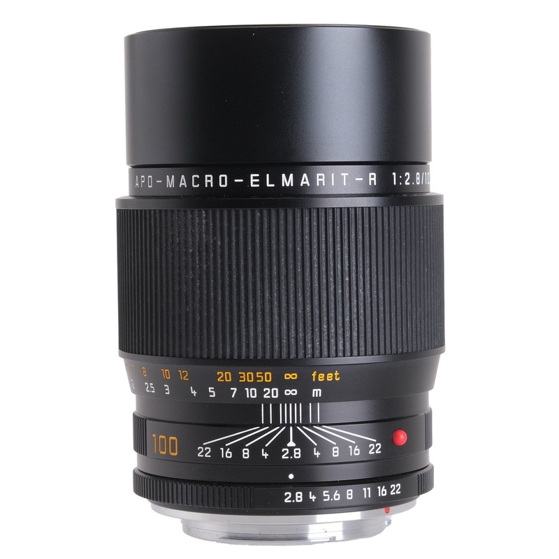 Leica 100mm f2.8 Apo Macro Elmarit-R 3654425