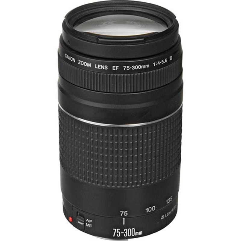 Canon EF 75-300mm f/4-5.6 III Lens (Black) – 6473A003