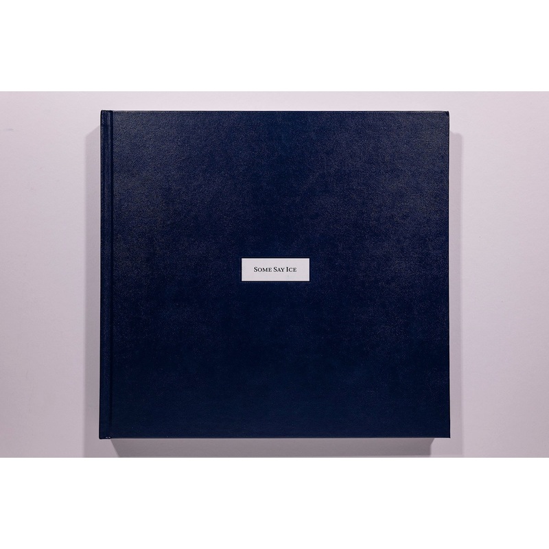 Alessandra Sanguinetti, Some Say Ice, Unsigned