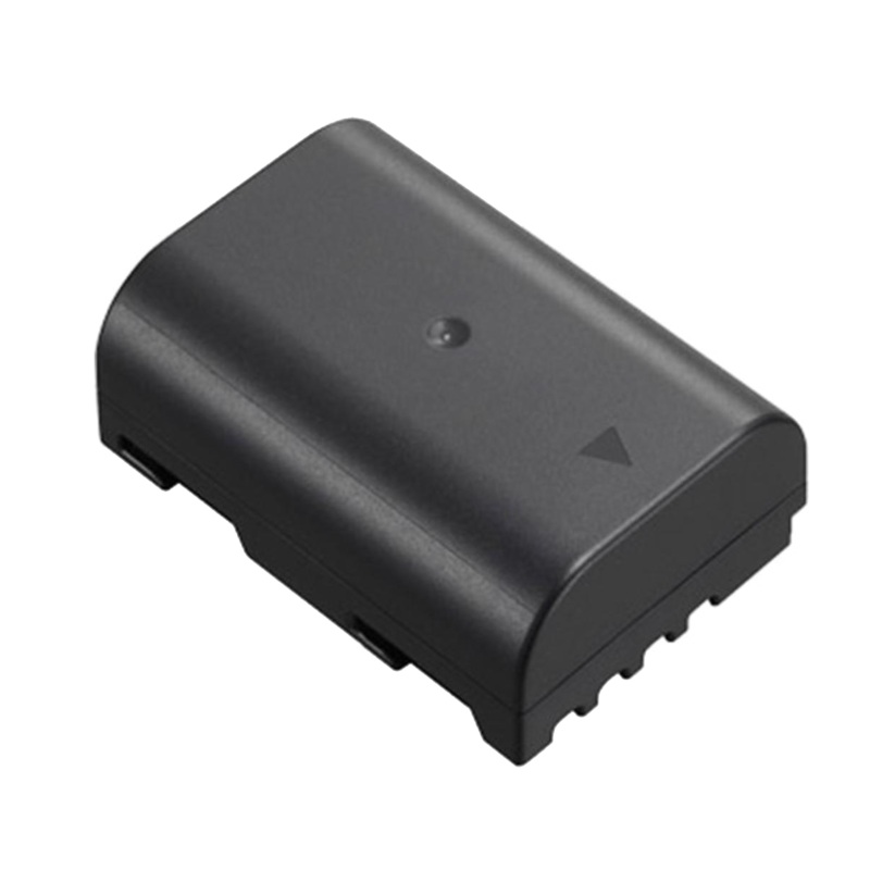 Panasonic DMW-BLF19 Battery