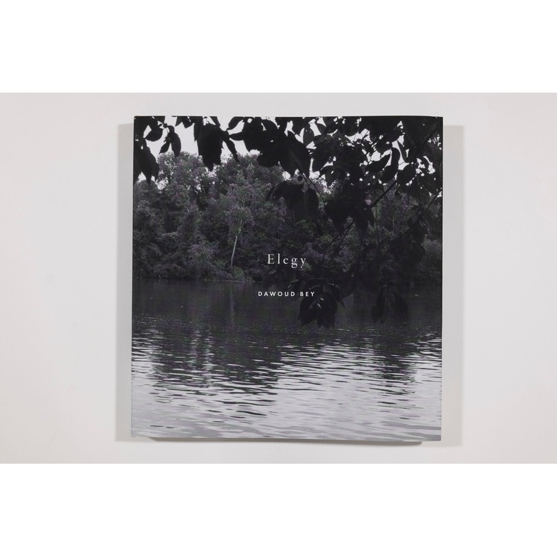 Elegy, Dawoud Bey