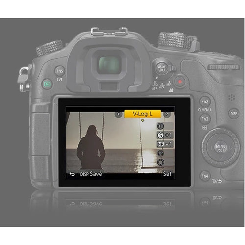 Panasonic DMW-SFU1GU V-Log L Firmware Upgrade for Lumix GH5