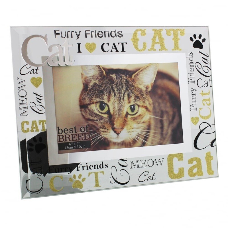Best of Breed Glass Photo Frame with 3D Words – Cat
