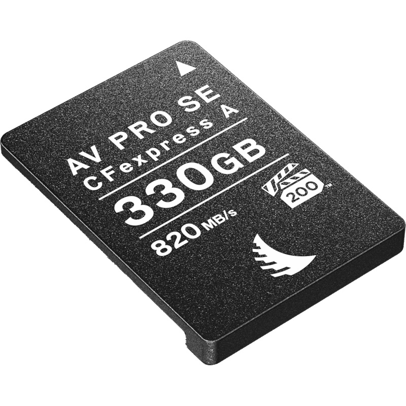 Carte CFexpress SE Type A 330GB