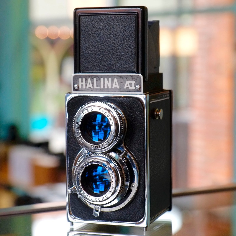 Halina AI