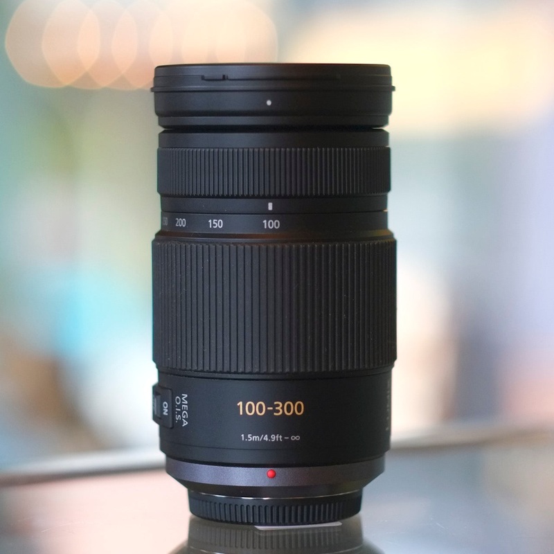 Panasonic G Vario 100-300mm f4-5.6 Power O.I.S.