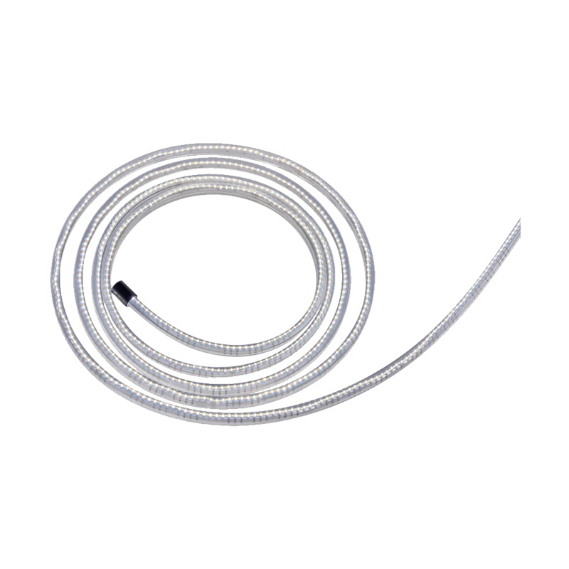 Sun Dragon with Diffuser (5m, White)