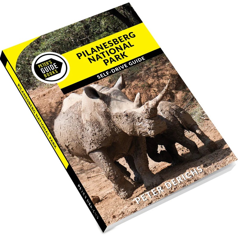 Peter’s Guide to Pilanesberg National Park
