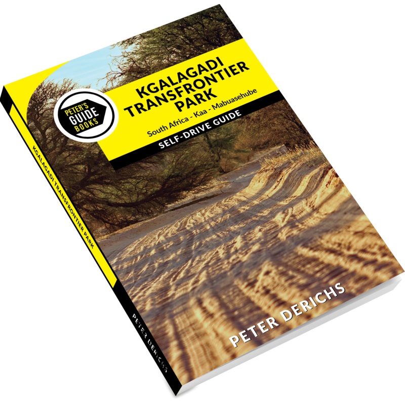 Peter’s Guide to Kgalagadi Transfrontier Park